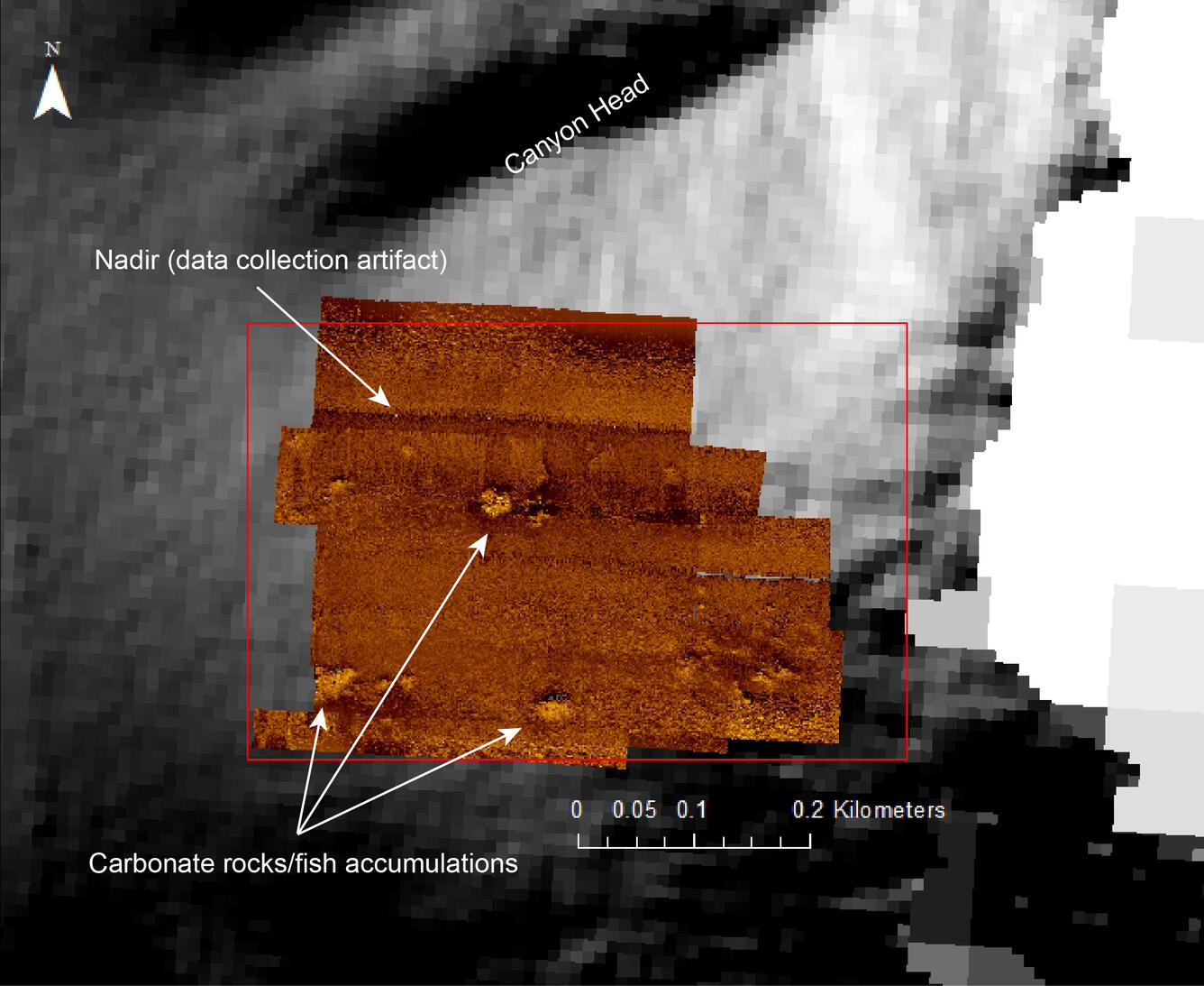 processed side-scan mosaic 