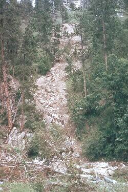 Rock Avalanches