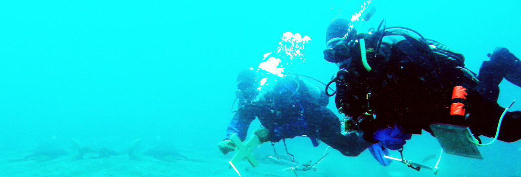 Slider Scuba