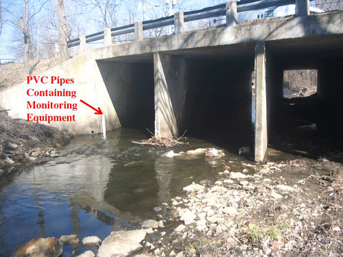 water monitor under bridge