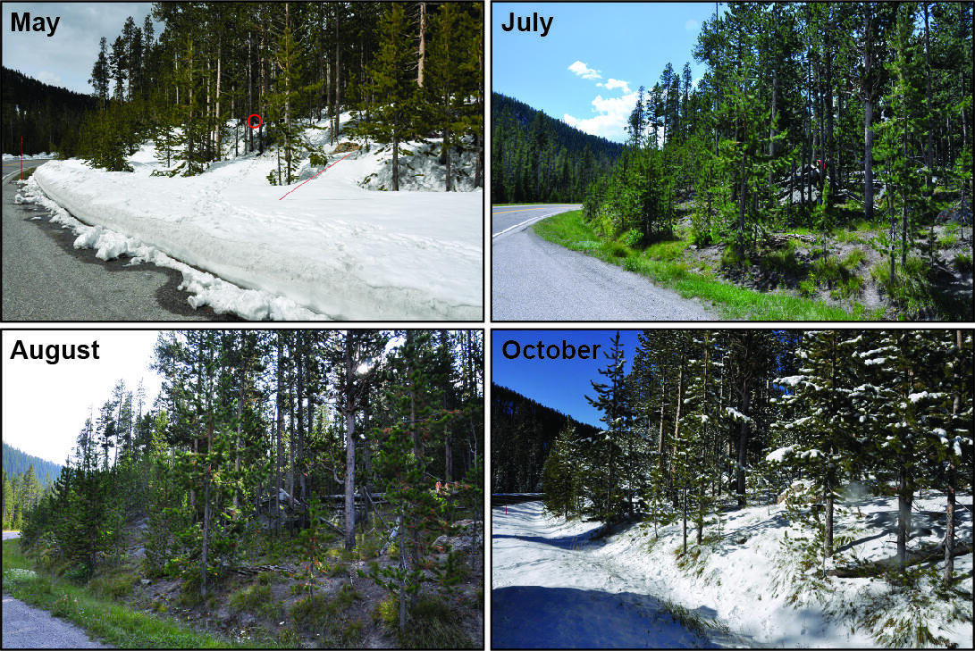 Changes in snow conditions at a gravity station in Yellowstone 2017