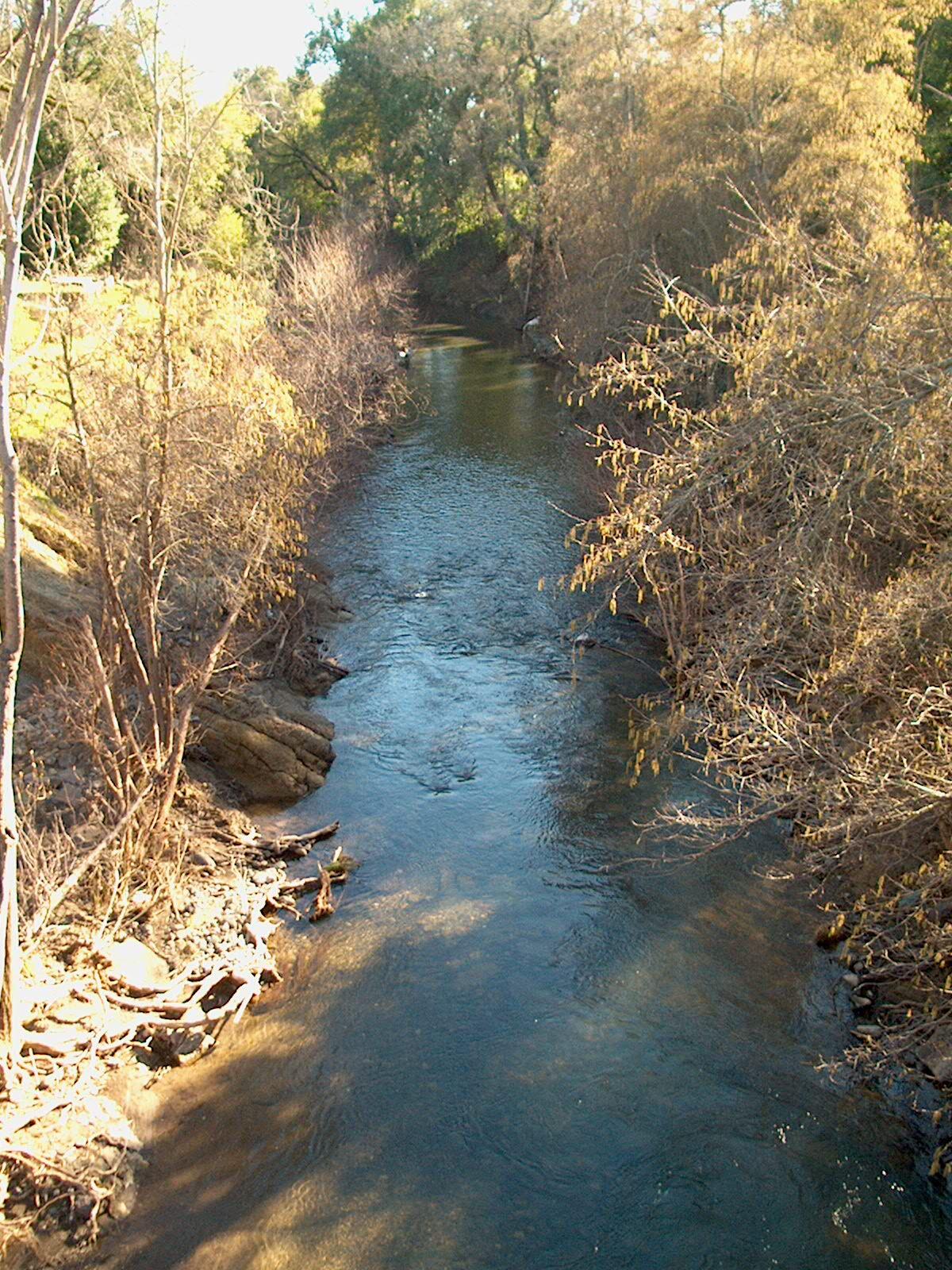 Looking at a creek