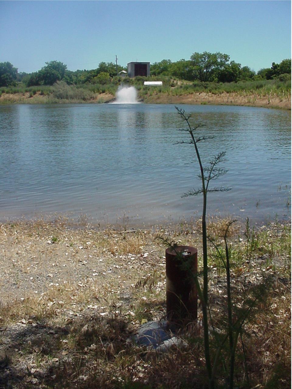 Standing on the shore line of a pond