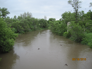 Souris River above Minot, ND, June 18, 2010