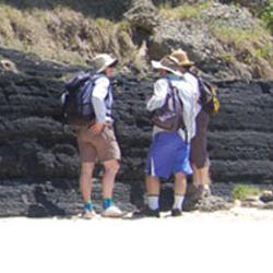 State Cooperators Science Object Thumb