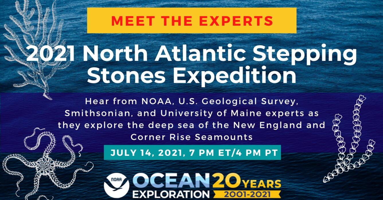 Stepping Stones Expedition Informational Poster