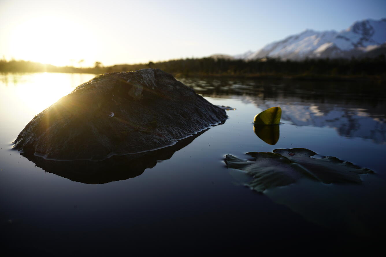 A stony islet in an Icy Point pond