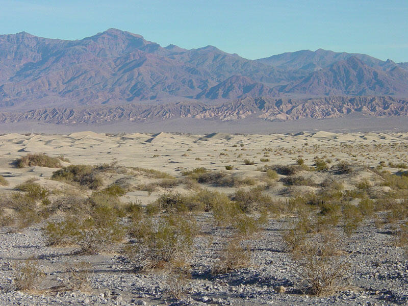Dunes near Stovepipe Wells	