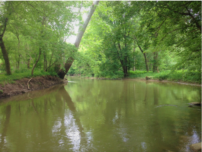 Sugar Creek near Palestine Indiana