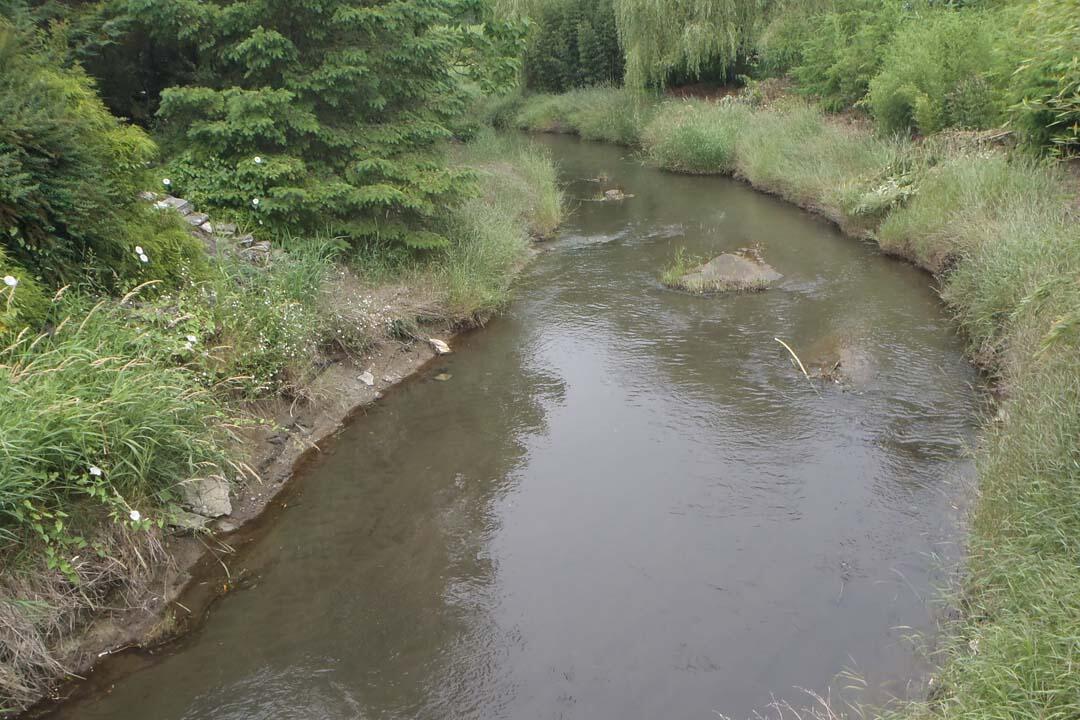 Sumas River near Nooksack, WA
