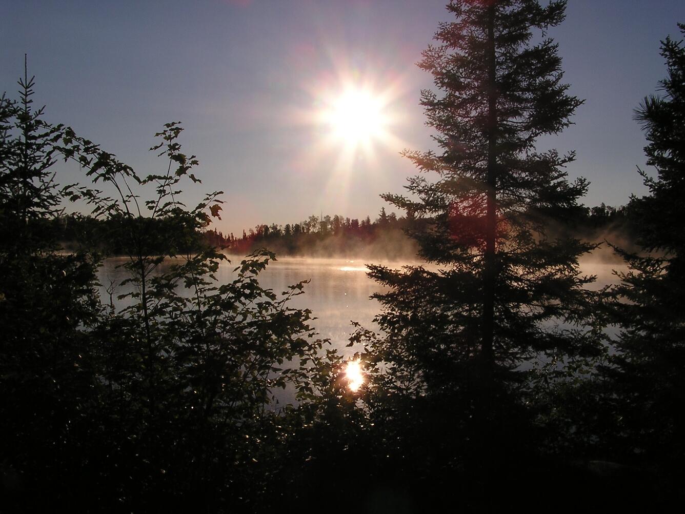 Sunrise on the water seen through trees