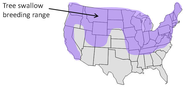 Tree swallow breeding range