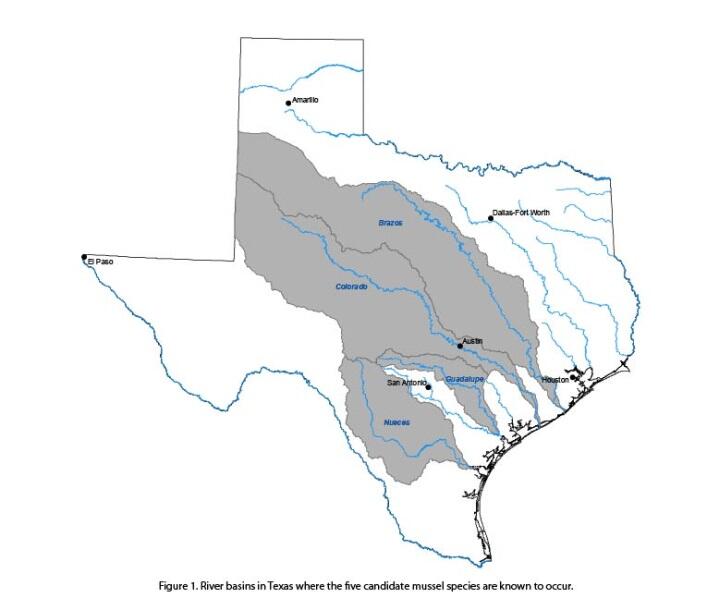Map of the study area in the Colorado and Guadalupe river basins