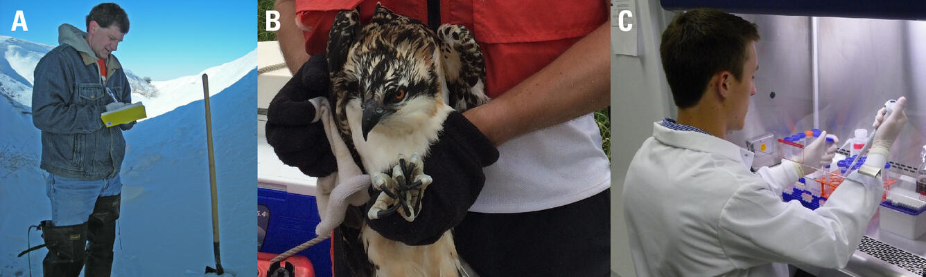 Three photos showing USGS environmental health science