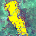 thumbnail for Global Agriculture showing crop area