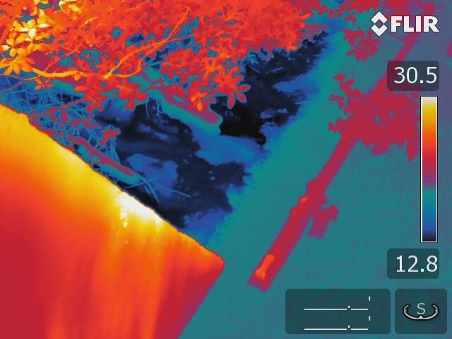 Thermal infrared image of a stream bank in summer