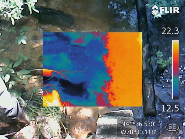 Thermal infrared image overlying stream bank photo