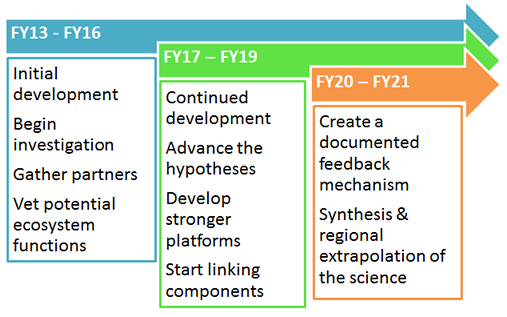 Project Timeline