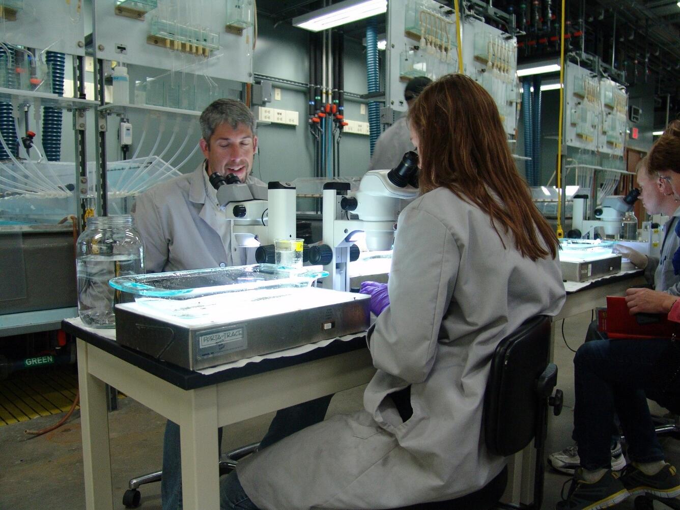 toxicity testing at CERC