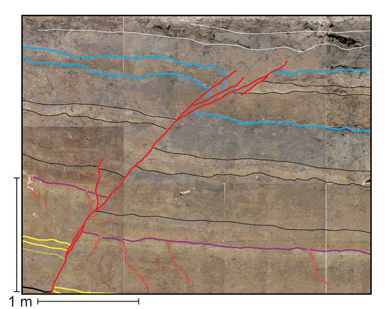 Exposure of the San Andreas Fault in a trench.
