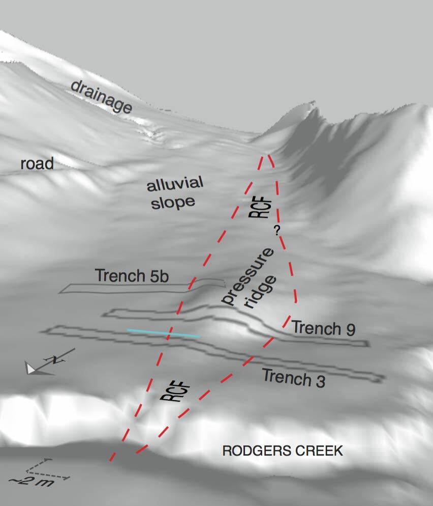 Three-dimensional perspective model of the Triangle G Ranch site