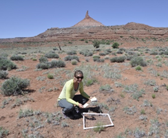 Caroline Havrilla Working