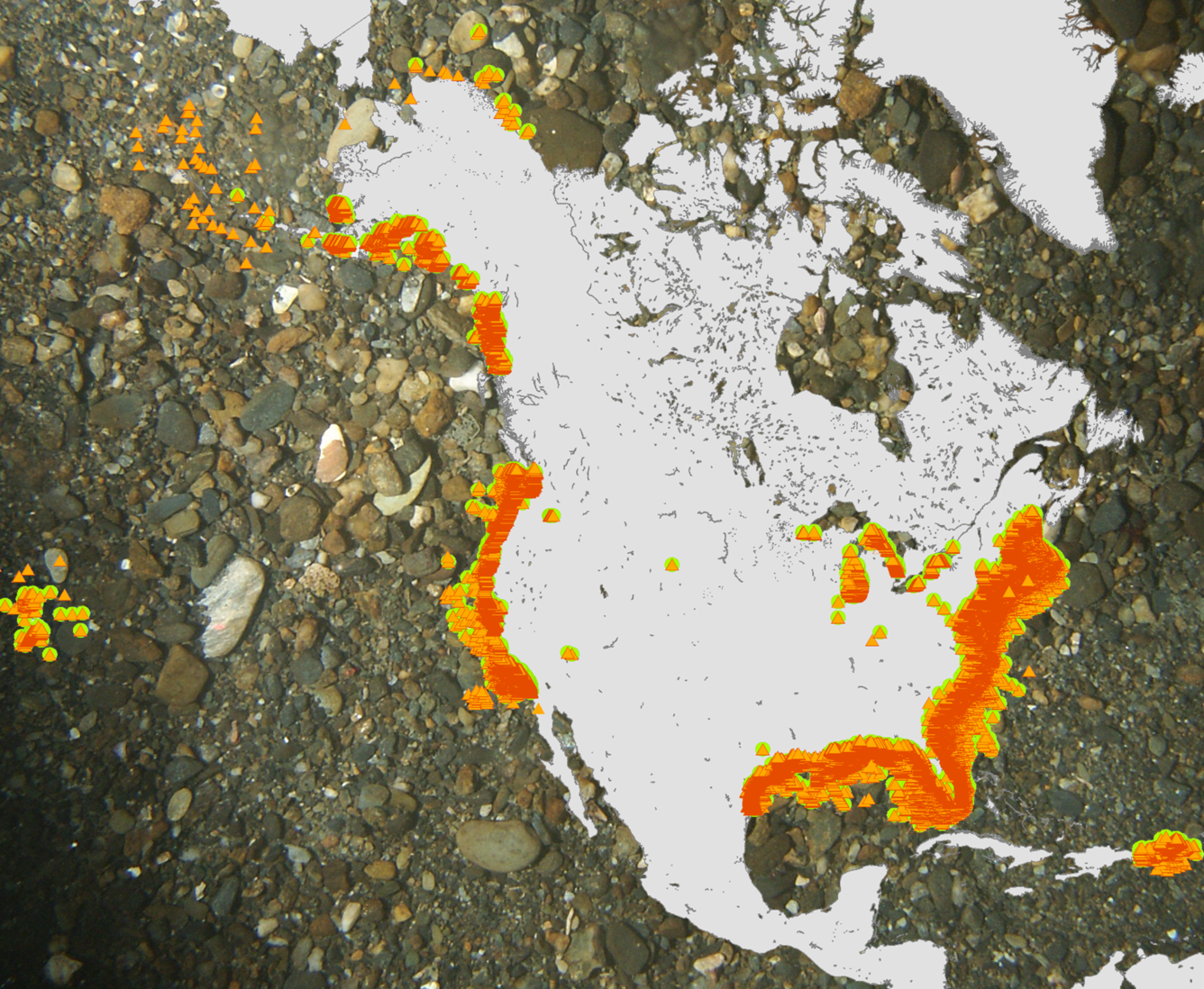 Image of the outline of the United States and nearby continents with shapes along the coastline to show where data was collected