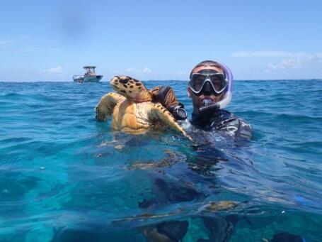 Diver holding up a sea turtle in the water