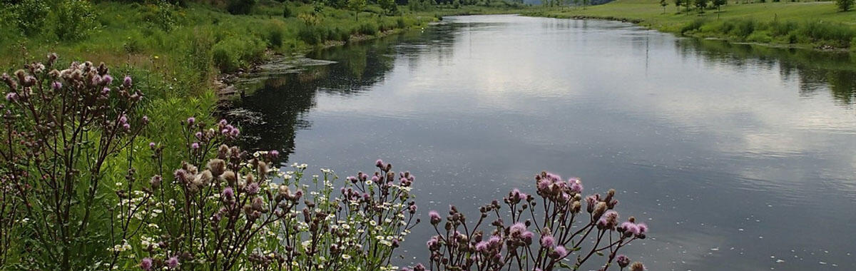 Kalamazoo River Restoration
