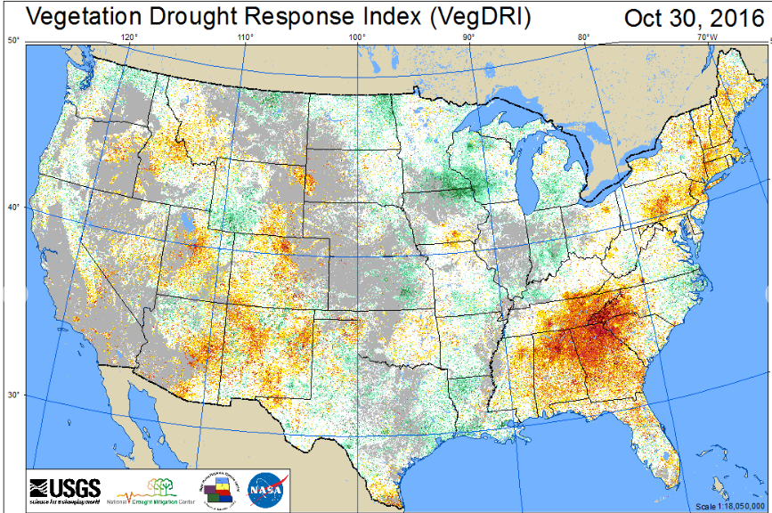 Vegetation Drought response index screenshot