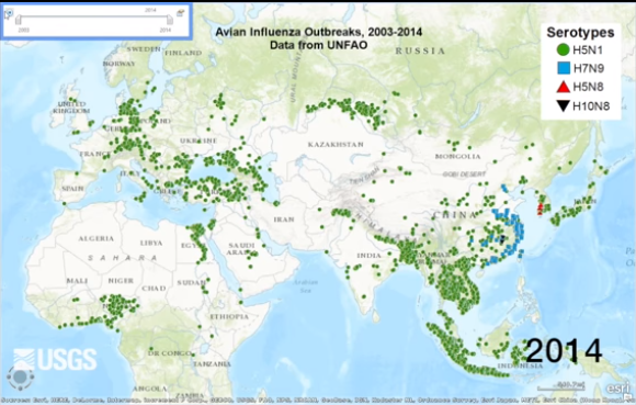 Screenshot of the Visual History of Worldwide Avian Influenza Outbreaks