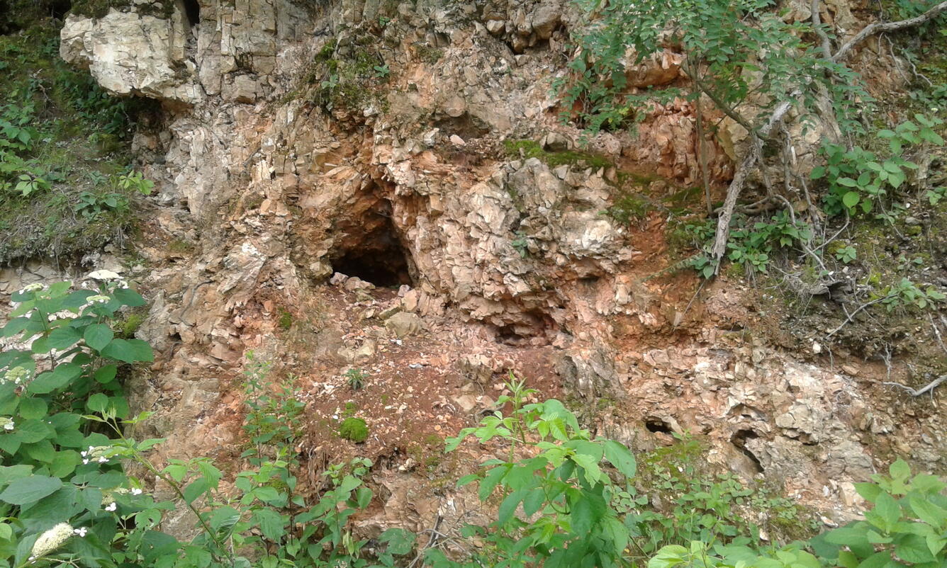 Vugs in Boone/Roub area outcrop