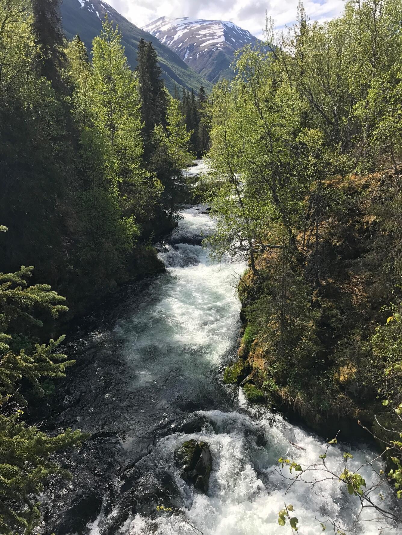 water