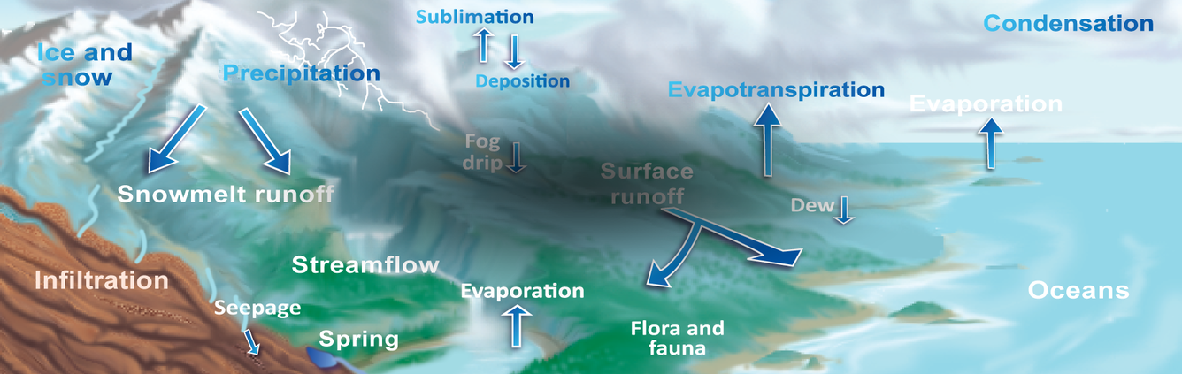 Water Cycle for Adults Banner