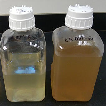 wetlands chemical dosing outlfow water quality samples