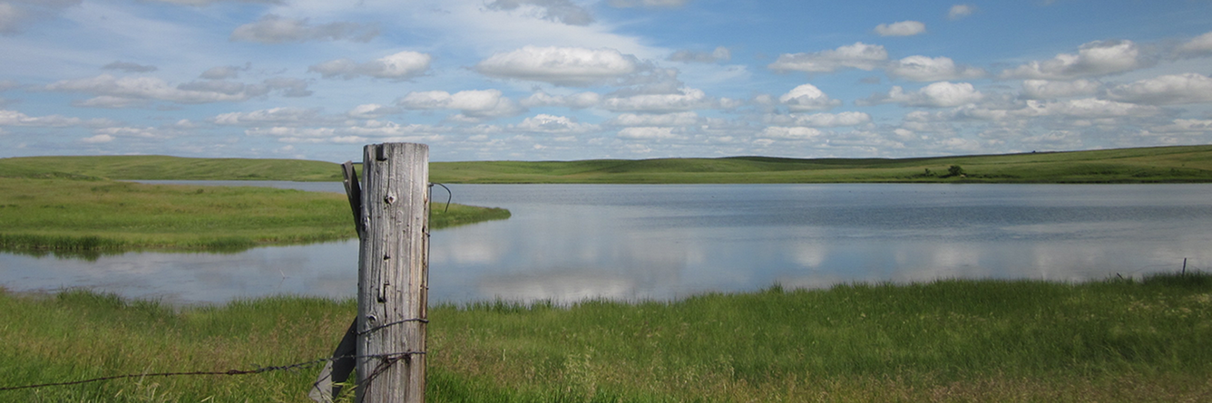 Prairie pothole wetlands, North Dakota