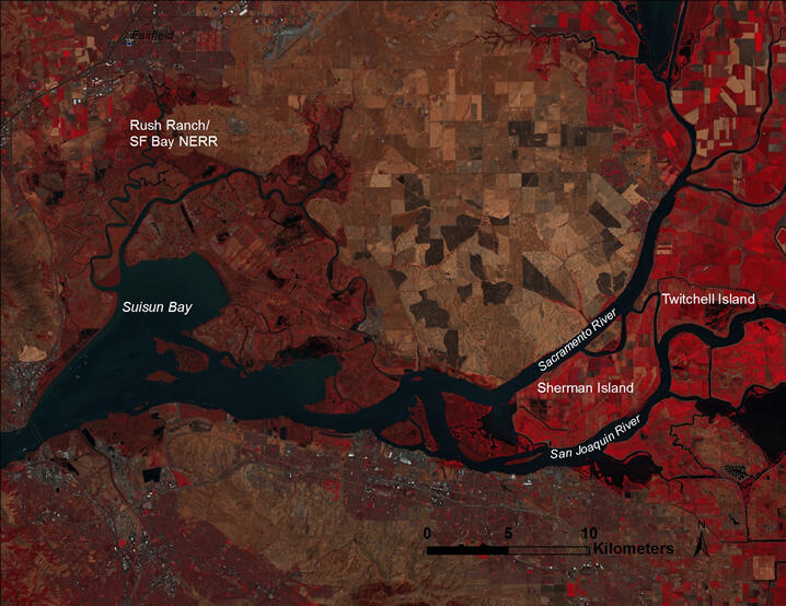 Map showing the location of the study region in the Sacramento–San Joaquin River Delta and Suisun Marsh