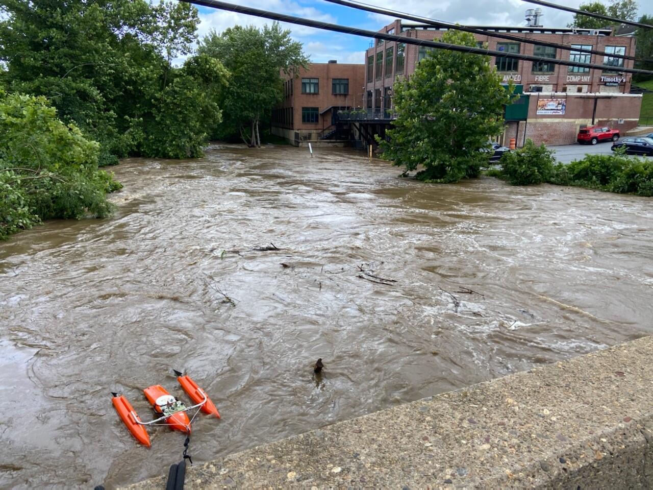 White Clay Creek in Newark, DE