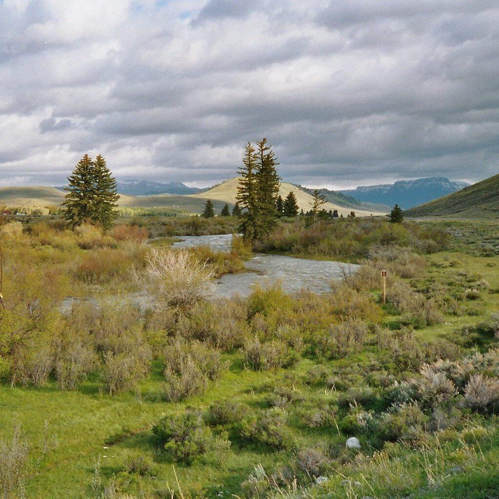 Wind River winds through a green landscape