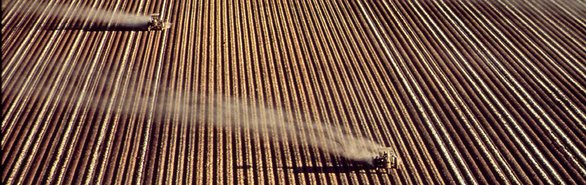 Tractors spreading fertilizer on crop fields