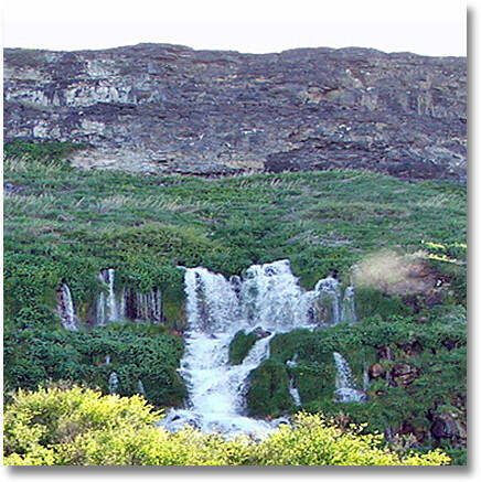 Groundwater flowing out of rocks on a cliff.