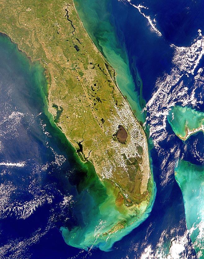 Satellite photo of Florida showing sediment runoff into the Atlantic Ocean and Gulf of Mexico after a storm.