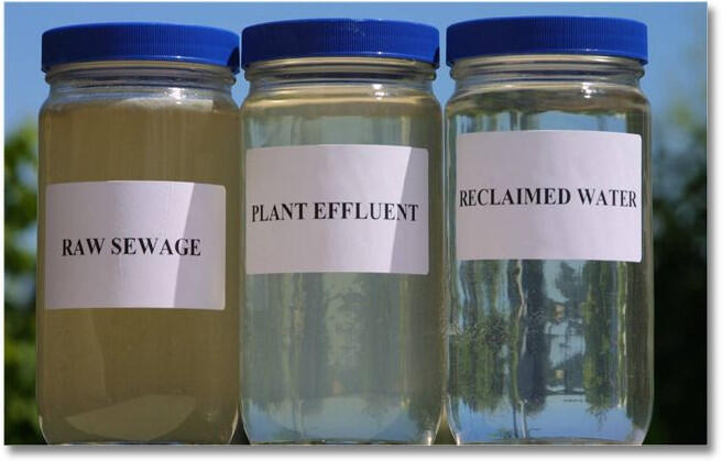 Vials of water, raw sewage to reclaimed water, showing purity.