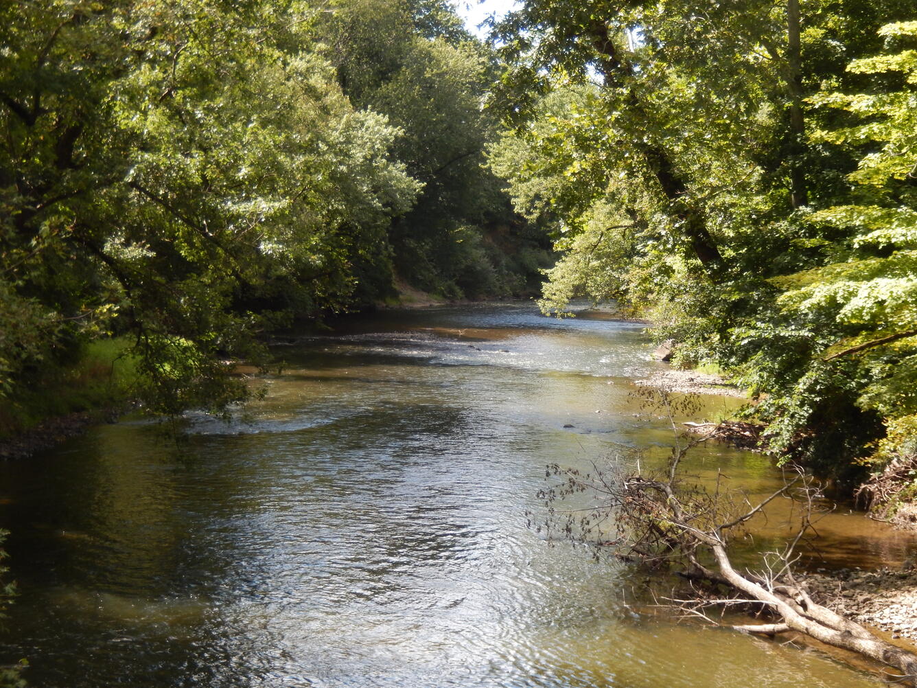 Yellow Creek near Oak Grove, IN - downstream view
