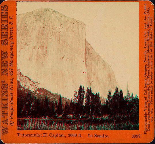 A photo of Tutonacula