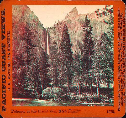 A photo of Pohono