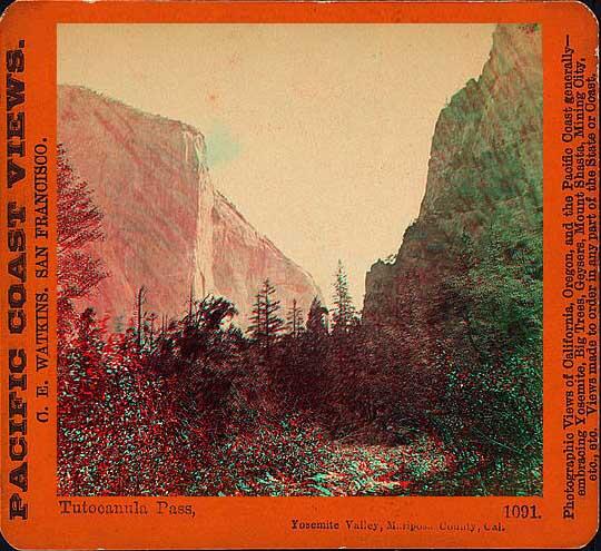 A photo of Tutocanula