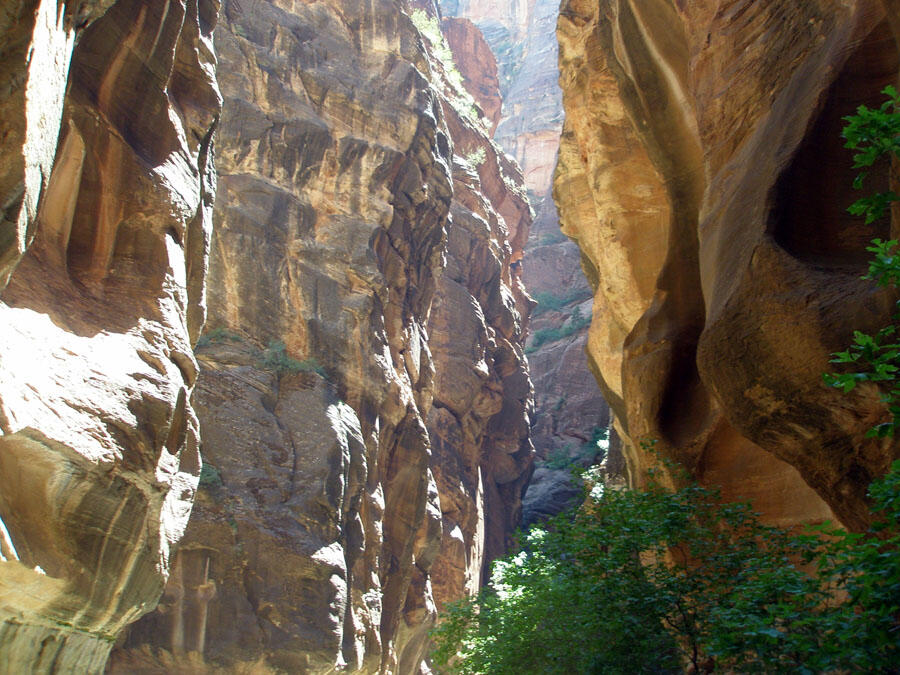 Narrows of Virgin River 