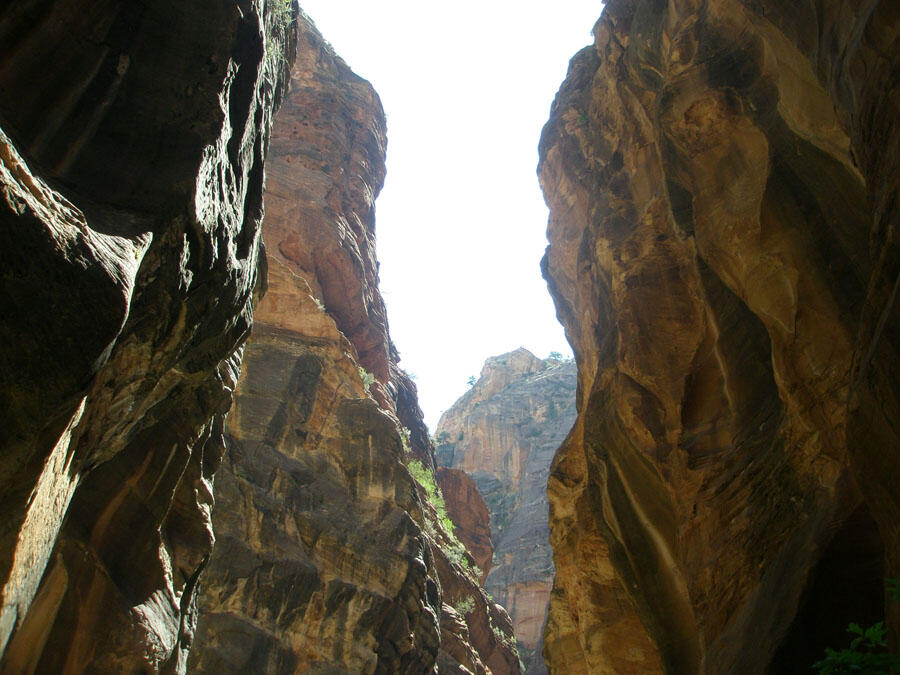 Narrows of Virgin River 