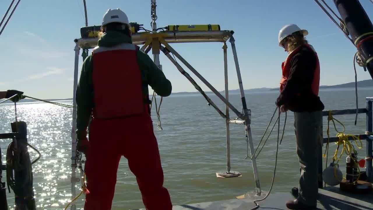 video thumbnail: Turbid Bay: Sediment in Motion